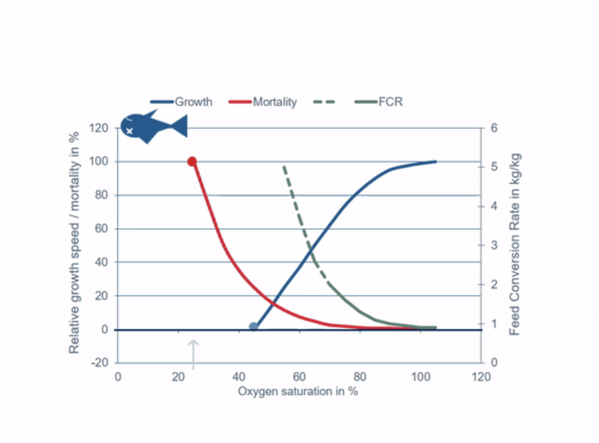 Graph showing growth speed / mortality % vs Oxygen Saturation % vs Feed Conferstion rate in kilograms