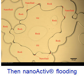 nanoActiv-flooding