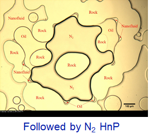 N2-HnP