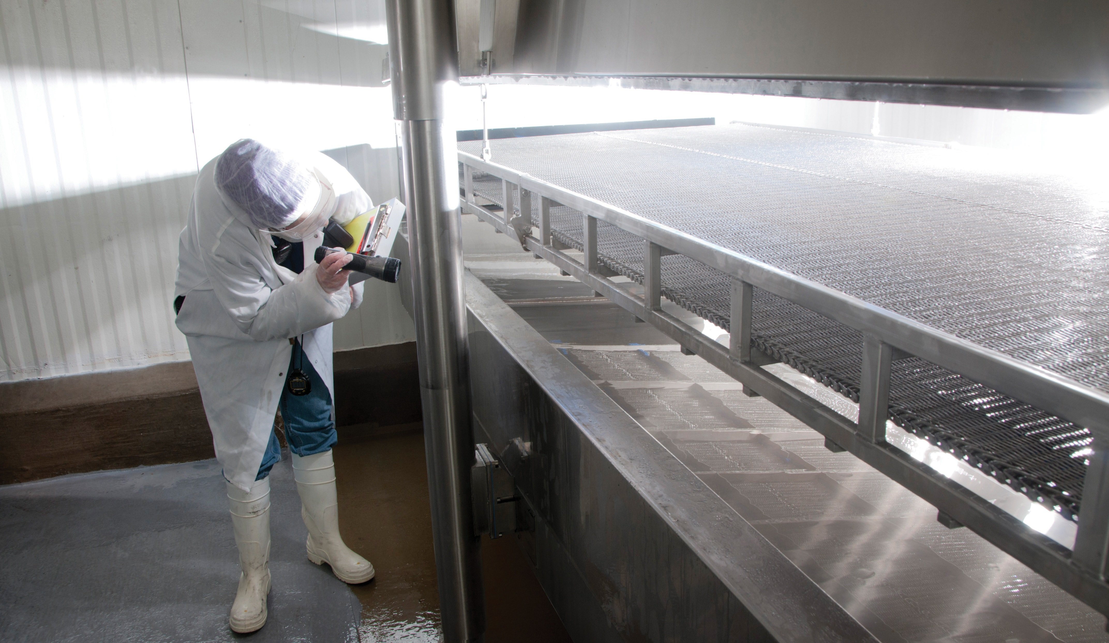 Maintaining Food Quality and Safety In a Rapidly Changing Environment